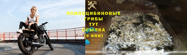 ГАЛЛЮЦИНОГЕННЫЕ ГРИБЫ Медвежьегорск