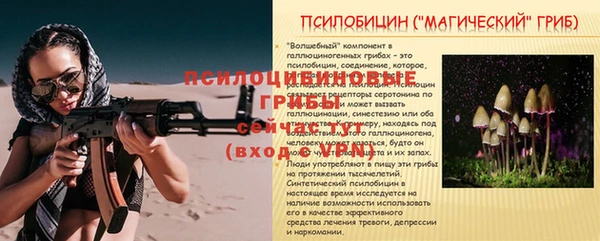ГАЛЛЮЦИНОГЕННЫЕ ГРИБЫ Медвежьегорск