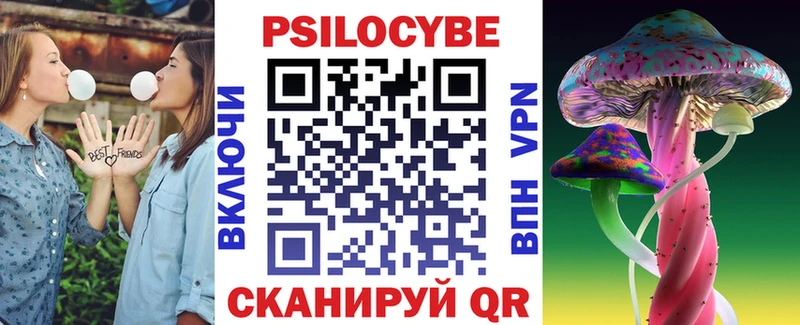 Псилоцибиновые грибы Cubensis где купить наркоту Заречный