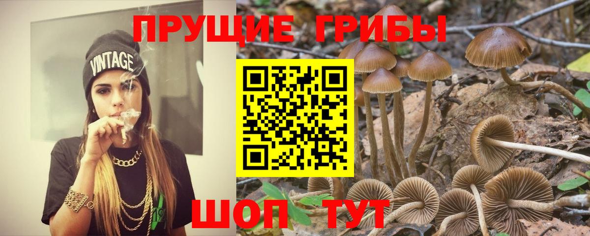 Галлюциногенные грибы Magic Shrooms  Вход с VPN  купить закладку  Заречный  Псилоцибиновые грибы MAGIC MUSHROOMS 